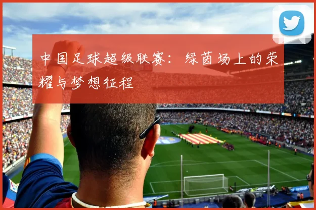 中国足球超级联赛：绿茵场上的荣耀与梦想征程