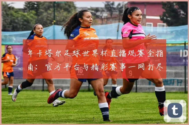 年卡塔尔足球世界杯直播观赛全指南：官方平台与精彩赛事一网打尽